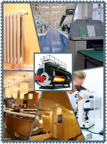 山東廠家長期供應進口燃燒器及2噸燃氣蒸汽鍋爐，提供全面技術咨詢